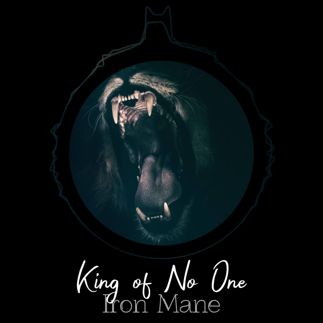 Soundlizer Feature 3